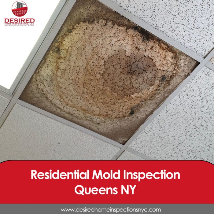 Residential Mold Inspection in Queens, NY