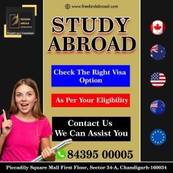 Study Abroad With / Without IELTS