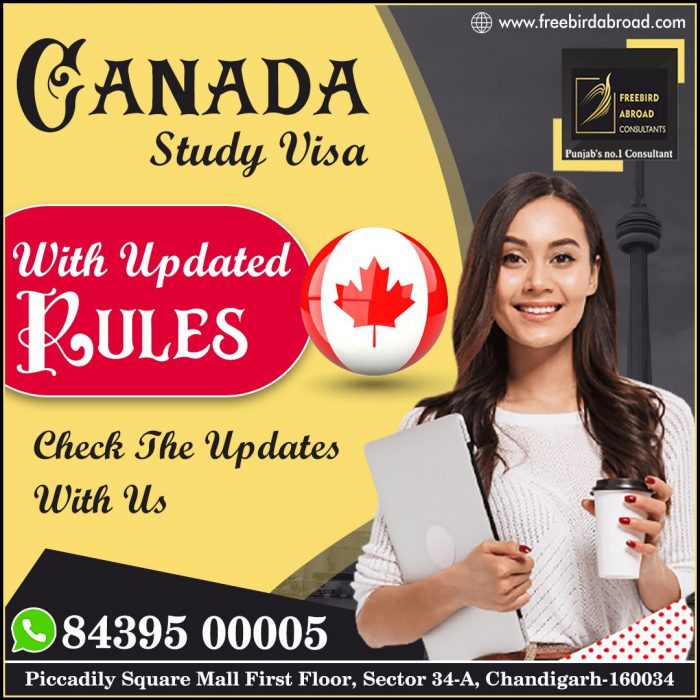 Study In Canada With Updated Rules