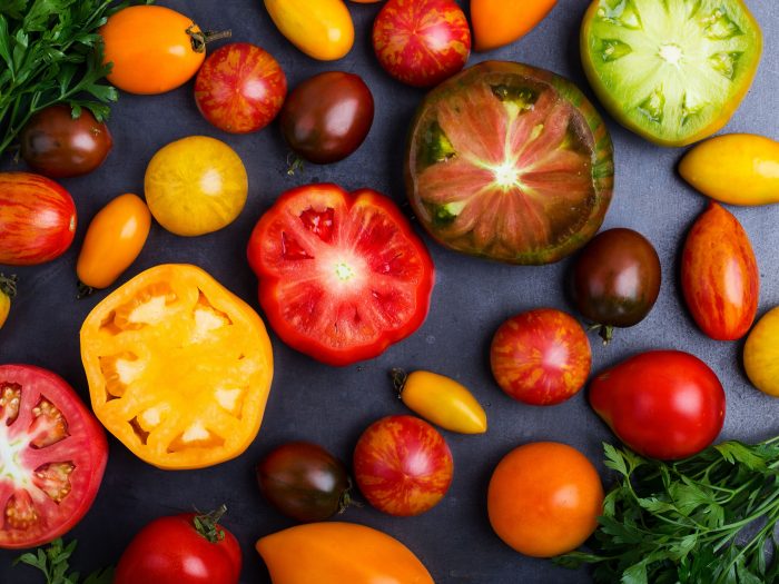 Tomato Seedlings | John Deschauer