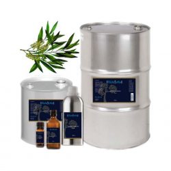 Buy Tea Tree Essential Oil Online at VedaOils