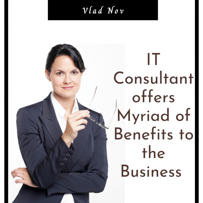 Vlad Nov : Benefits Offered by an IT Consultant
