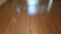Floor Cleaning Sandymount