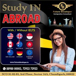 Studies Abroad With / Without IELTS