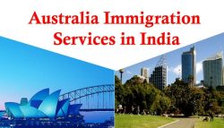 Points to Remember While Choosing the Best Immigration Consultancy Firm