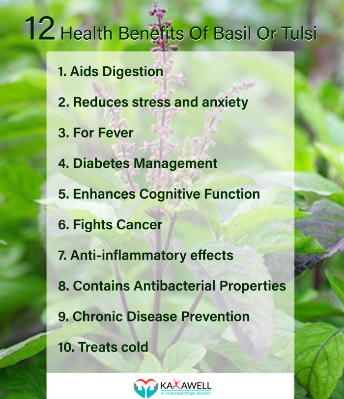 12 Health Benefits of Basil
