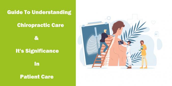 A Complete Guide To Understanding Chiropractic Care: Its Significance In Patient Care