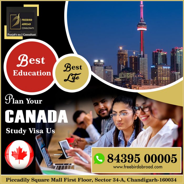 Plan Canada Study Visa