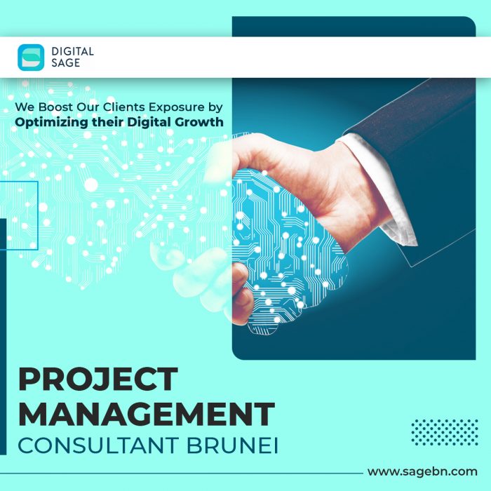 Project Management Consultant Brunei – Sage BN
