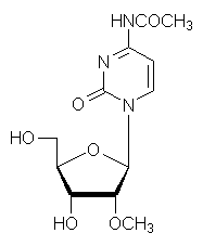 N4-acetyl-2′-O-methylcytidine