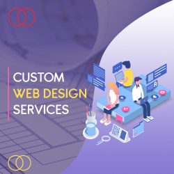 Fully Custom Web Development Company in India