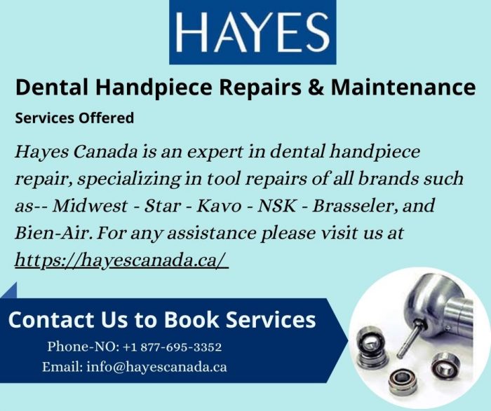 Buy Dental Handpiece at Hayes Canada