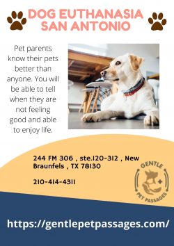 Dog Euthanasia San Antonio – Gentle Pet Passages