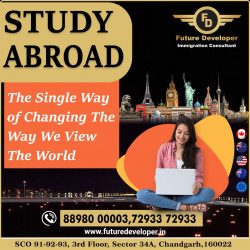 Explore The World With Higher Studies Abroad