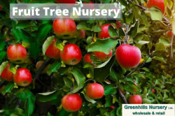 Fruit Tree Nursery in UK- Greenhills Nursery
