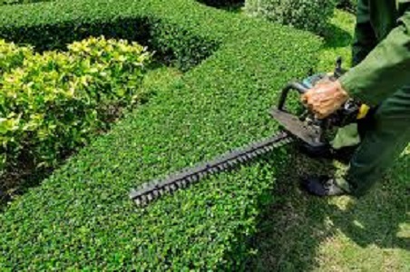 Get Lawn Mowing Services In Tullamarine.