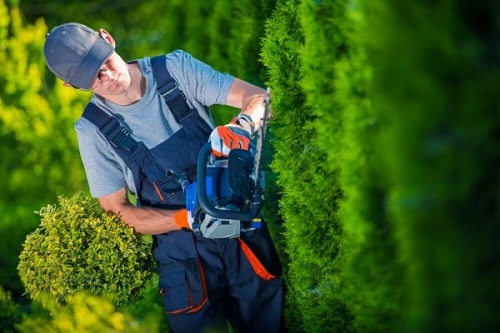 Lawn Mowing Services In Wantirna South At Affordable Price.