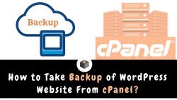 How to Take Backup of WordPress Website From cPanel?