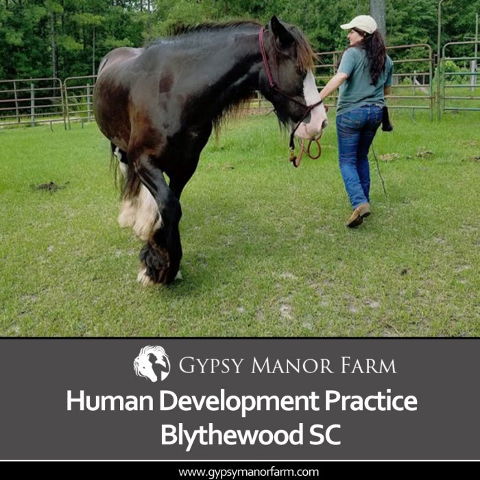 Human Development Practices Blythewood SC