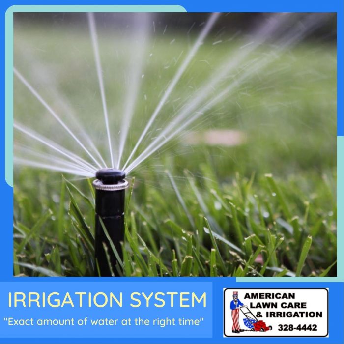 Get The Reliable Irrigation System Service
