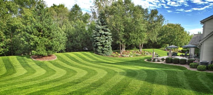 Lawn Mowing Strathmore Heights