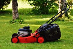 Get Lawn Mowing Services In Carlton North