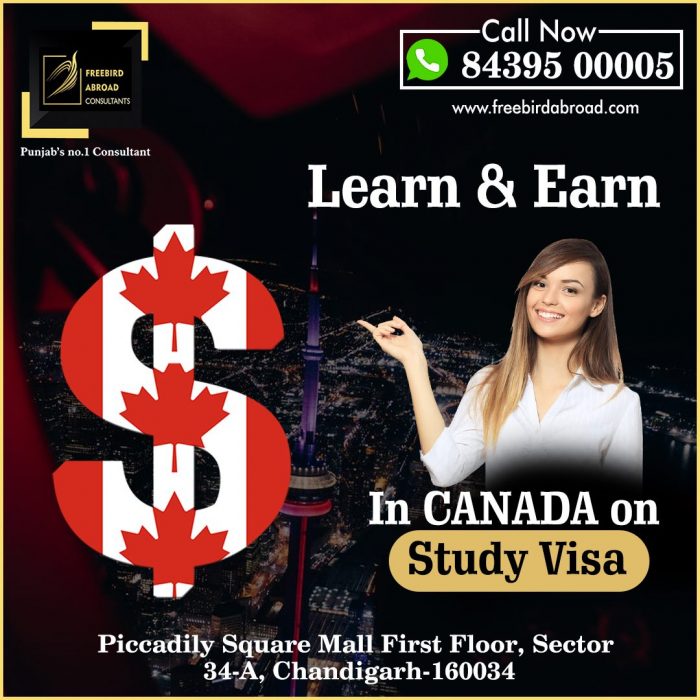 Learn & Earn In Canada On Study Visa