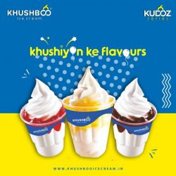 Top Ice Cream Variety of Khushboo Ice Cream