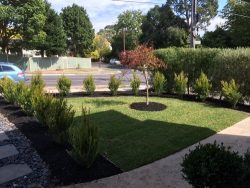 Lawn Mowing Services In Healesville At Affordable Price.