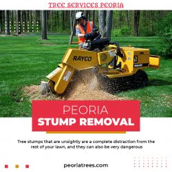 Topmost Peoria stump removal service at Tree Services Peoria