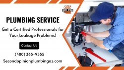 Get Hassle-Free Plumbing Services!