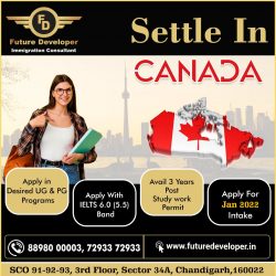 Study & Settle In Canada