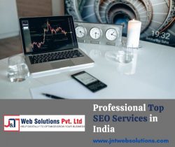 Professional Top SEO Services in India