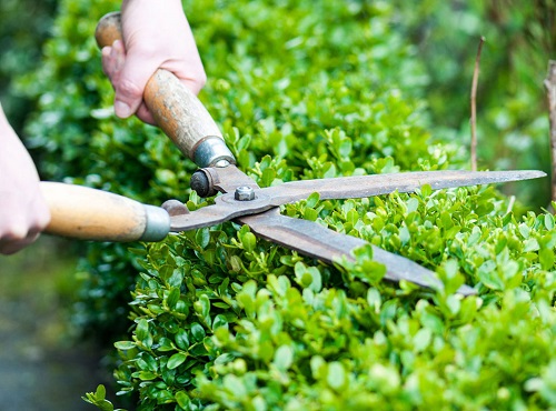 Get Lawn Mowing Services In North Melbourne.