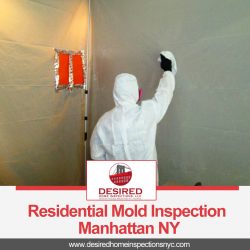 Residential Mold Inspection Manhattan NY