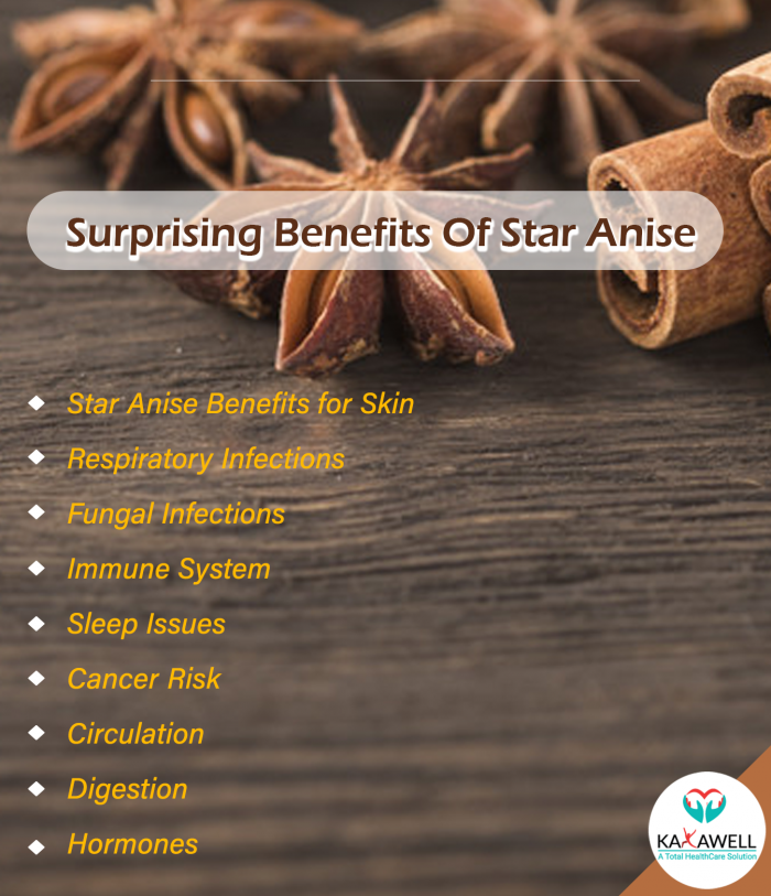 9 Surprising Star Anise Benefits