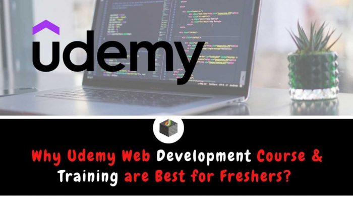 Why Udemy Web Development Course and Training are Best for Freshers?