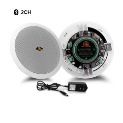 Amplified Bluetooth Ceiling Speaker
