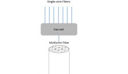 MCF Multicore Fiber Fanout