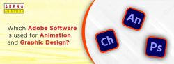 Which Adobe Software is used for Animation and Graphic Design?