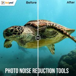 5 Best Free Photo Noise Reduction Tools and Websites in 2021