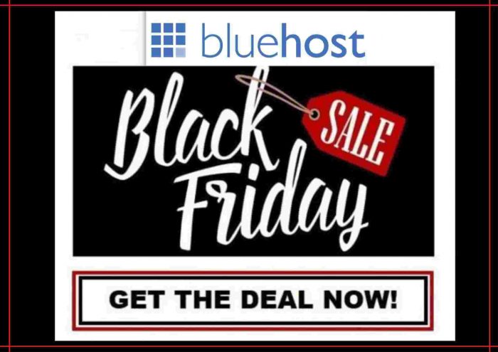 Grab The Best Hosting Deals From BlueHost Black Friday Sale and Get Amazing Discount & Offers