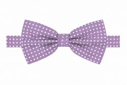 Blending Classic and Contemporary Fashion: Men Bow Tie and Suspenders