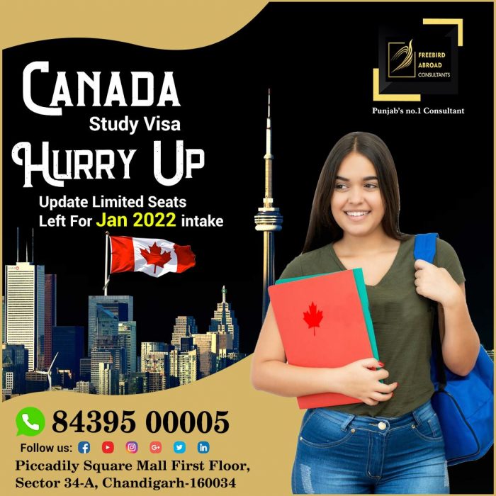 Canada Study Visa Hurry Up !!!!!!Limited Seats Left for Jan 2022 Intake