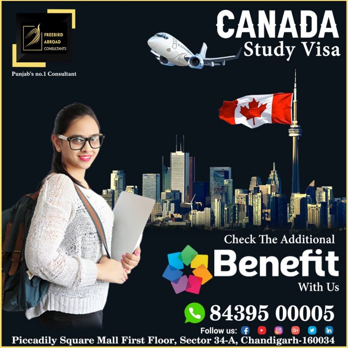 Canada Study Visa Hurry Up