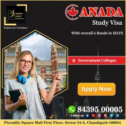 Canada Study Visa With Overall 6 Bands in IELTS