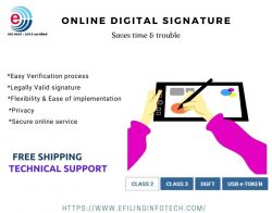 Online Digital signature certificate