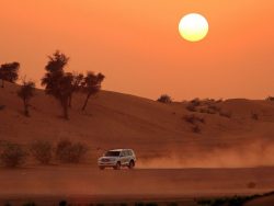 High Quality Desert Safaris at Discounted Rates