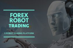 Comprehensive View of Forex Robots