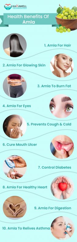 10 Medicinal and Health Benefits of Amla